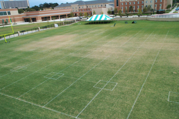 College Sports Field - Before MicroLife