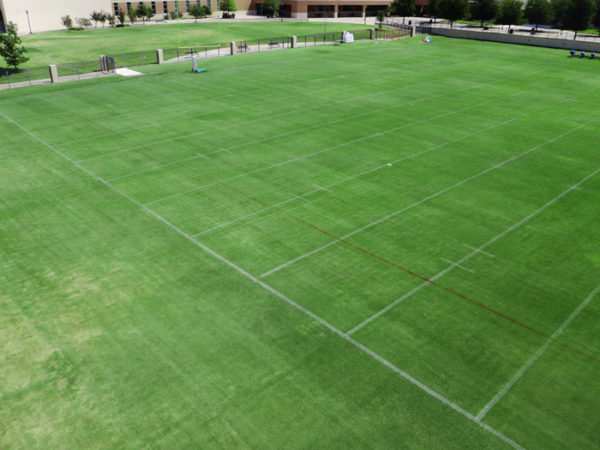 College Sports Field - After MicroLife
