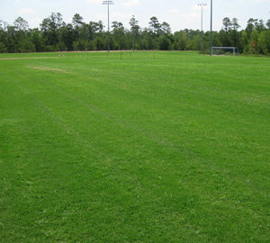 Bear Branch Soccer Fields - After