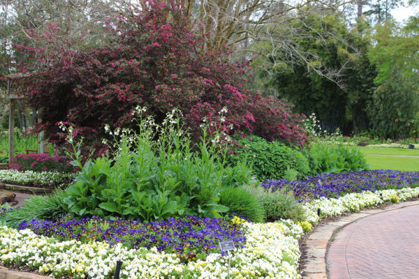 Mercer Arboretum